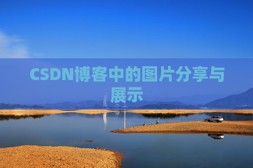 CSDN博客中的图片分享与展示